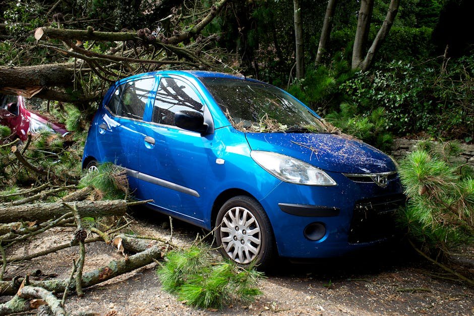 A blue car trapped under fallen trees in a post-storm scene in the UK.