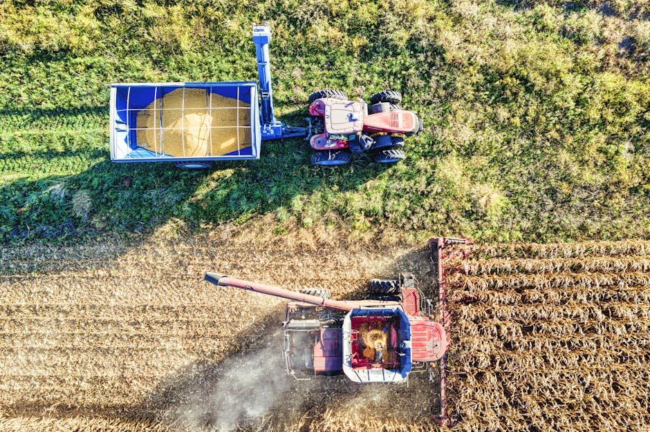Aerial drone shot capturing a tractor harvesting corn in a Minnesota field during fall.