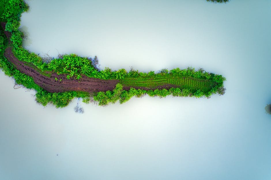 Drone shot of lush green farmland in Banten, Indonesia, surrounded by reflective waters.